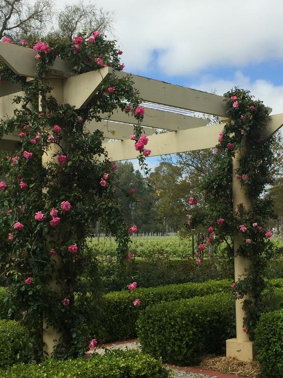 Bed and Breakfast Barossa House Tanunda Esterno foto