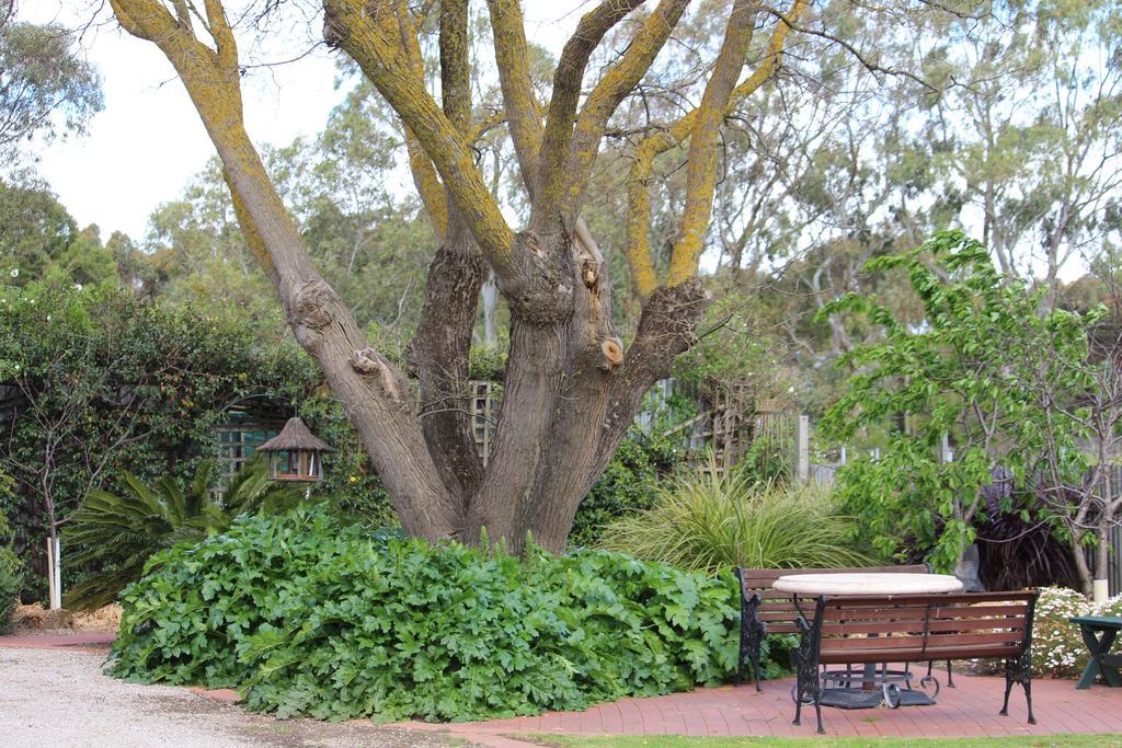 Bed and Breakfast Barossa House Tanunda Camera foto