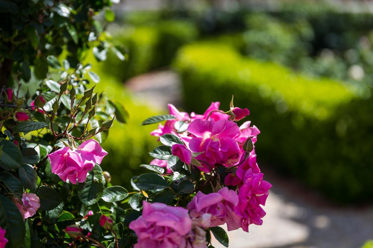 Bed and Breakfast Barossa House Tanunda Esterno foto