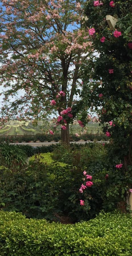 Bed and Breakfast Barossa House Tanunda Esterno foto