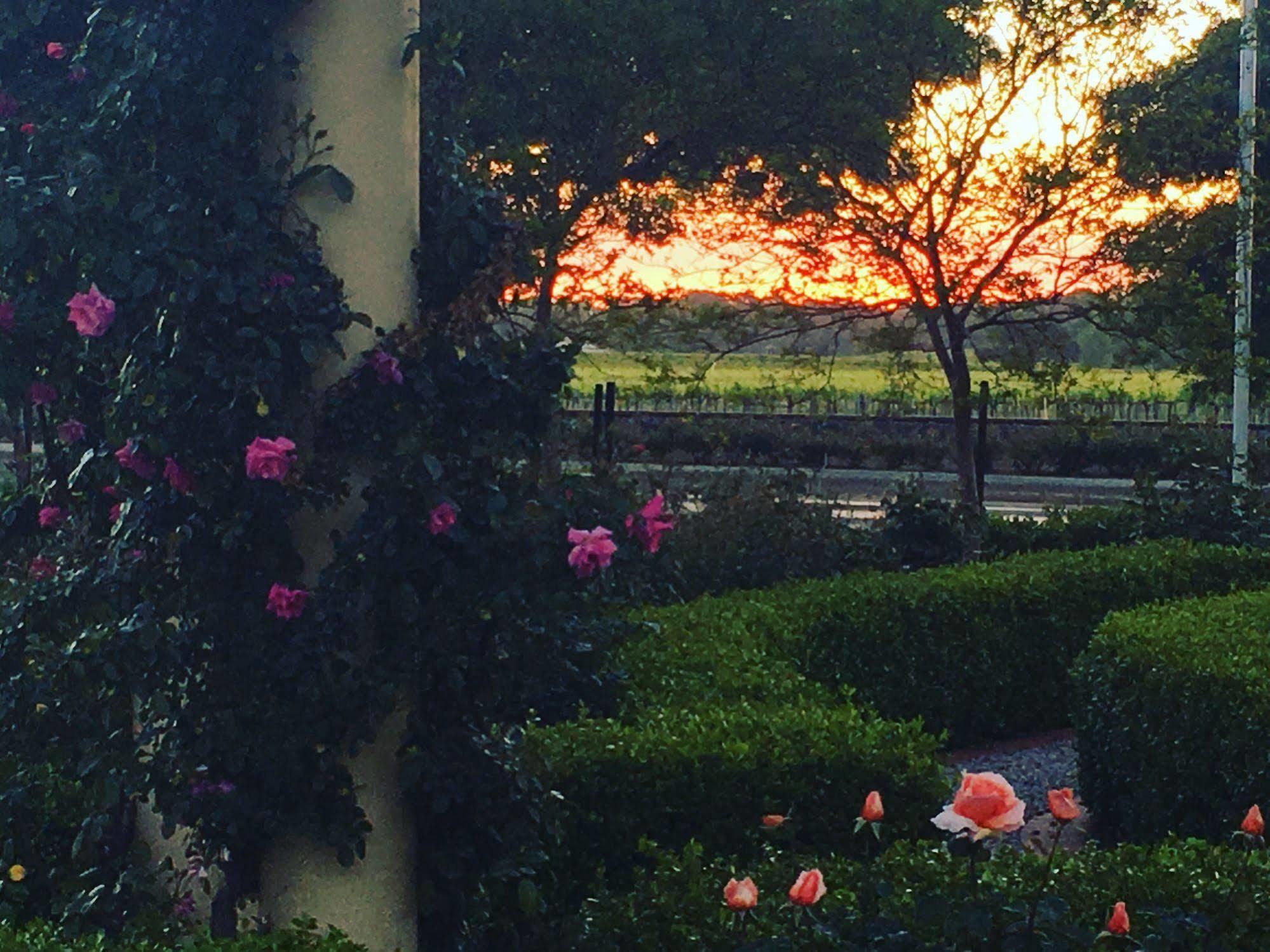 Bed and Breakfast Barossa House Tanunda Esterno foto