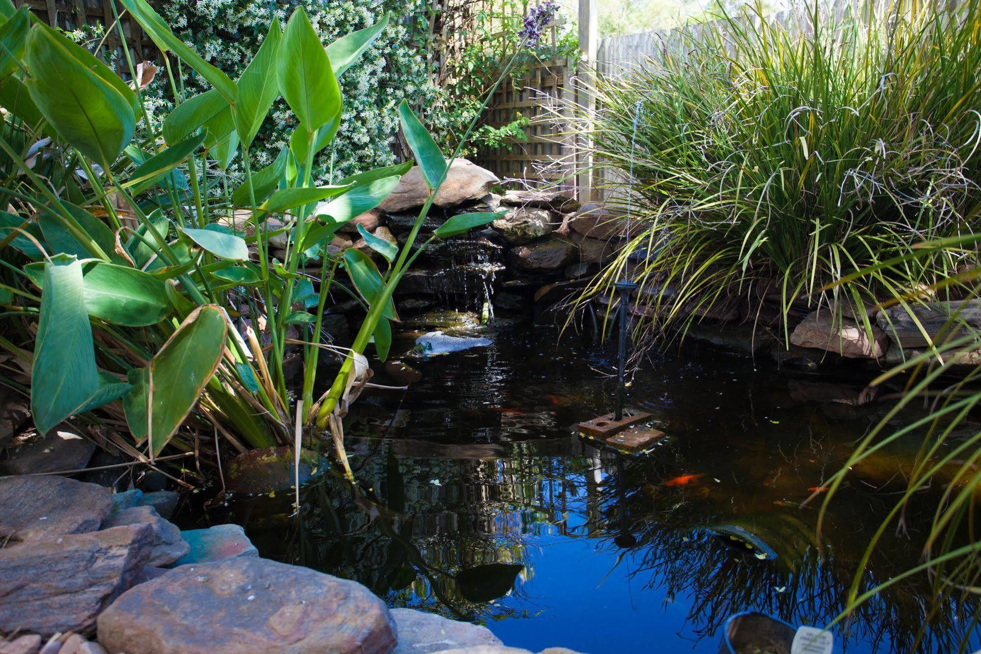 Bed and Breakfast Barossa House Tanunda Esterno foto
